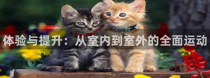 体验与提升：从室内到室外的全面运动