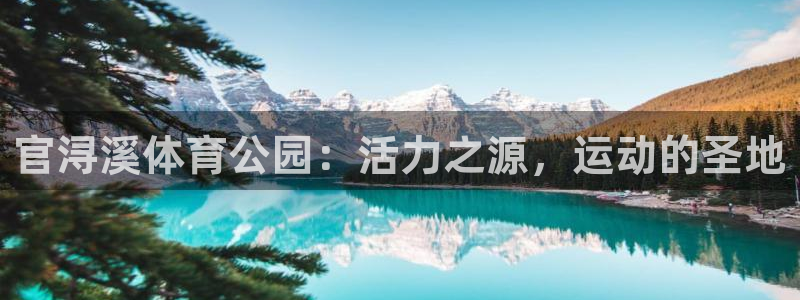 官浔溪体育公园：活力之源，运动的圣地
